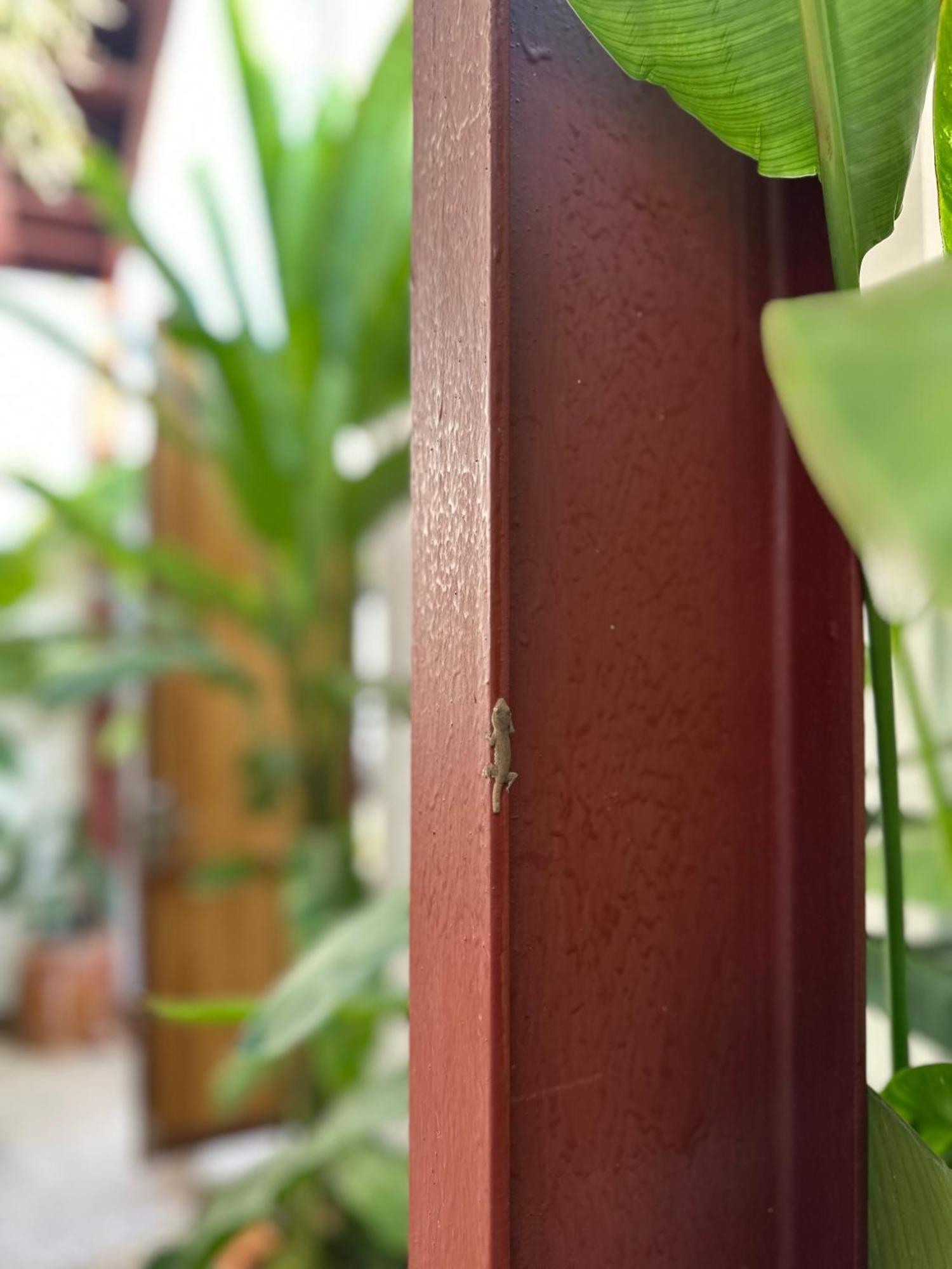 Palmcalina - Phuqui Beach House Cu Lao Thu Ngoại thất bức ảnh