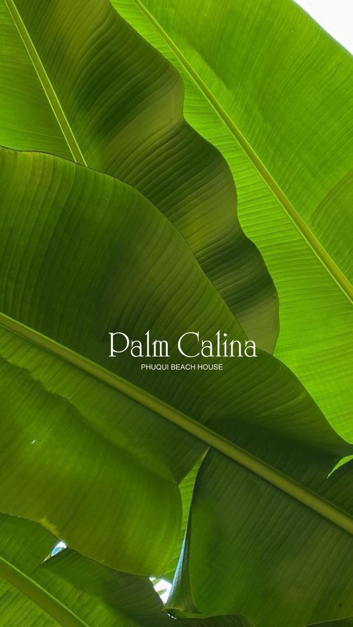 Palmcalina - Phuqui Beach House Cu Lao Thu Ngoại thất bức ảnh