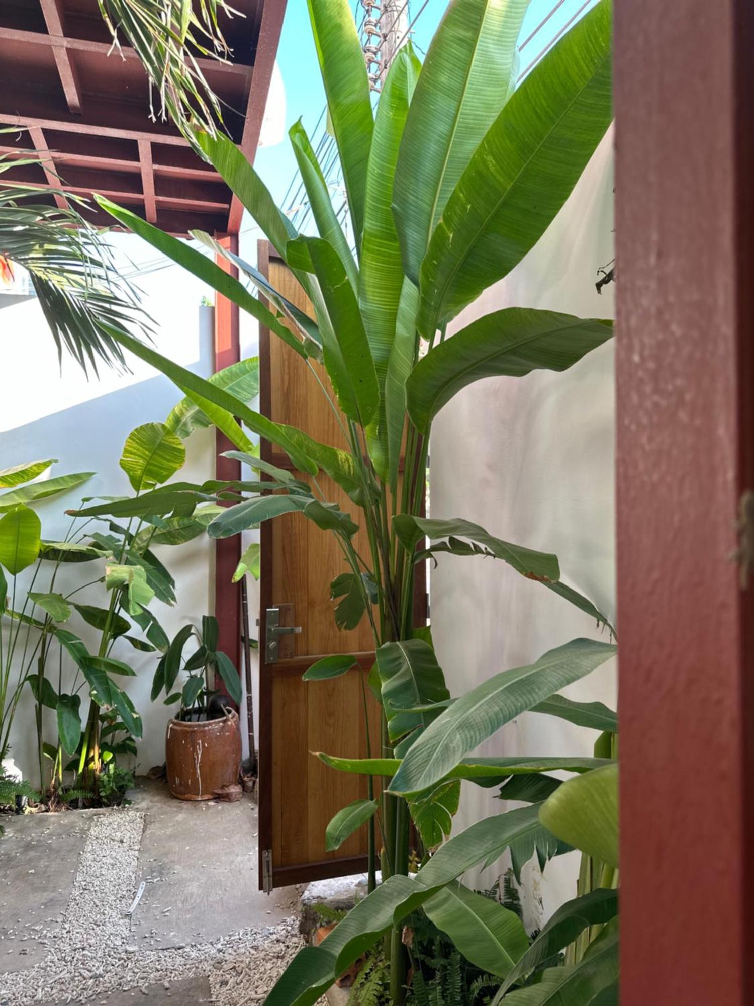 Palmcalina - Phuqui Beach House Cu Lao Thu Ngoại thất bức ảnh