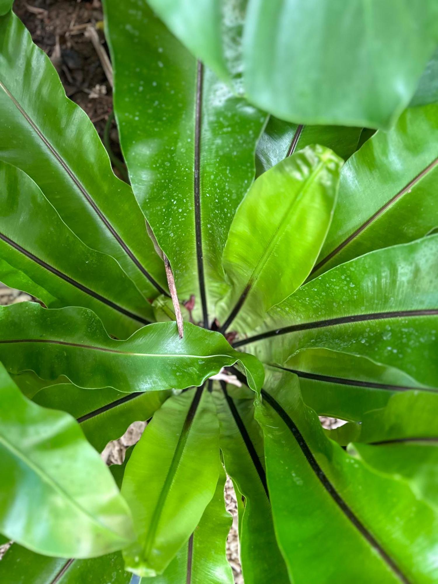 Palmcalina - Phuqui Beach House Cu Lao Thu Ngoại thất bức ảnh