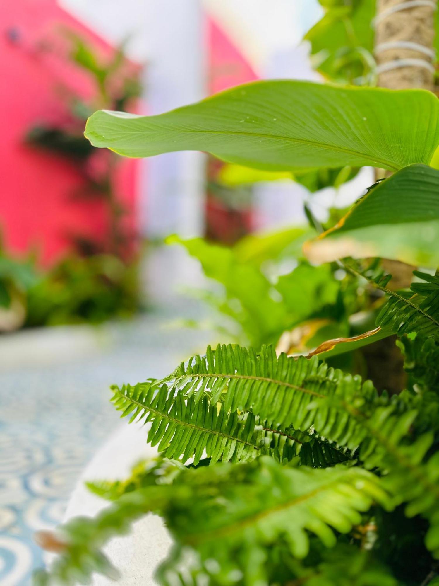 Palmcalina - Phuqui Beach House Cu Lao Thu Ngoại thất bức ảnh