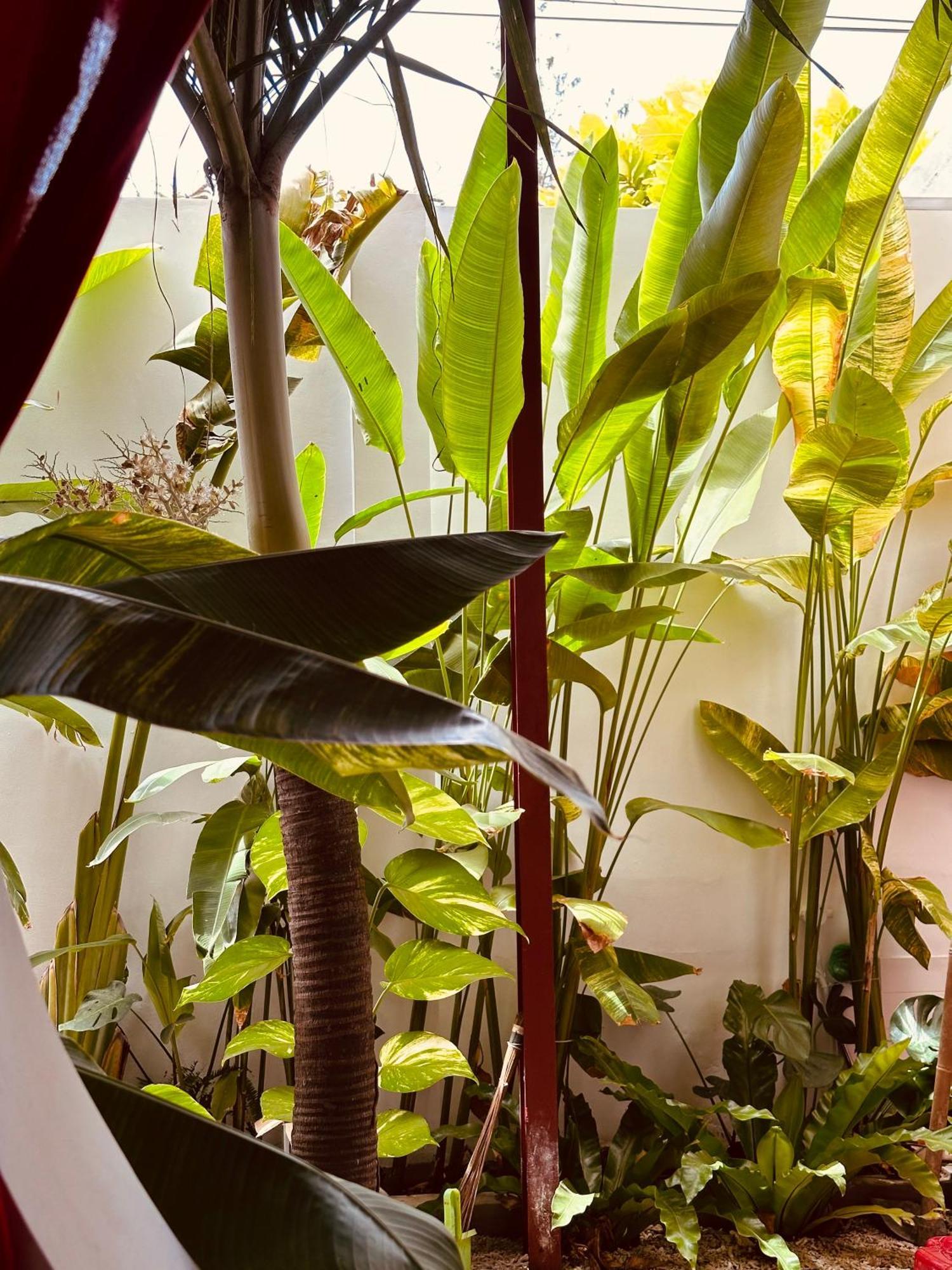 Palmcalina - Phuqui Beach House Cu Lao Thu Ngoại thất bức ảnh