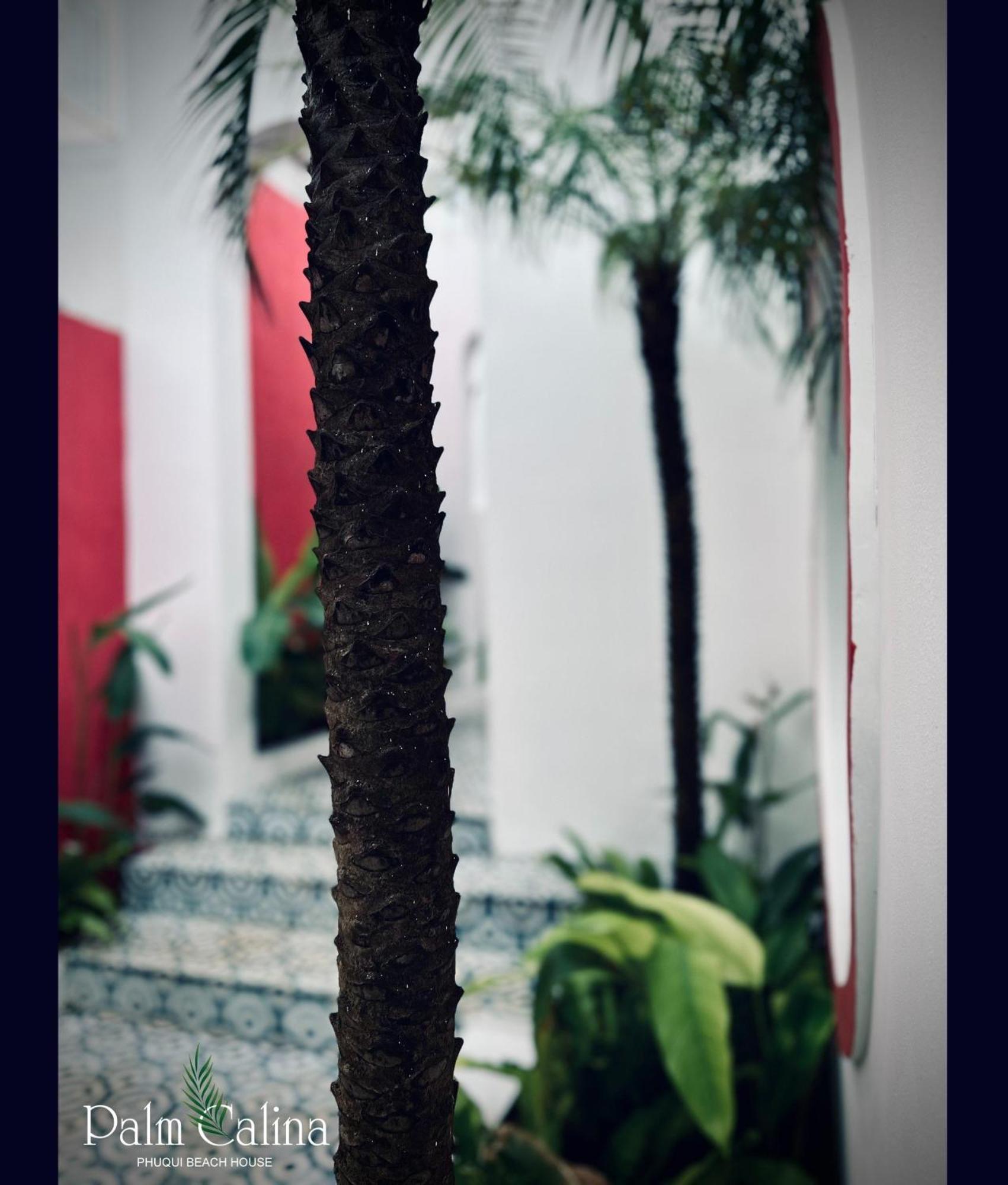 Palmcalina - Phuqui Beach House Cu Lao Thu Ngoại thất bức ảnh