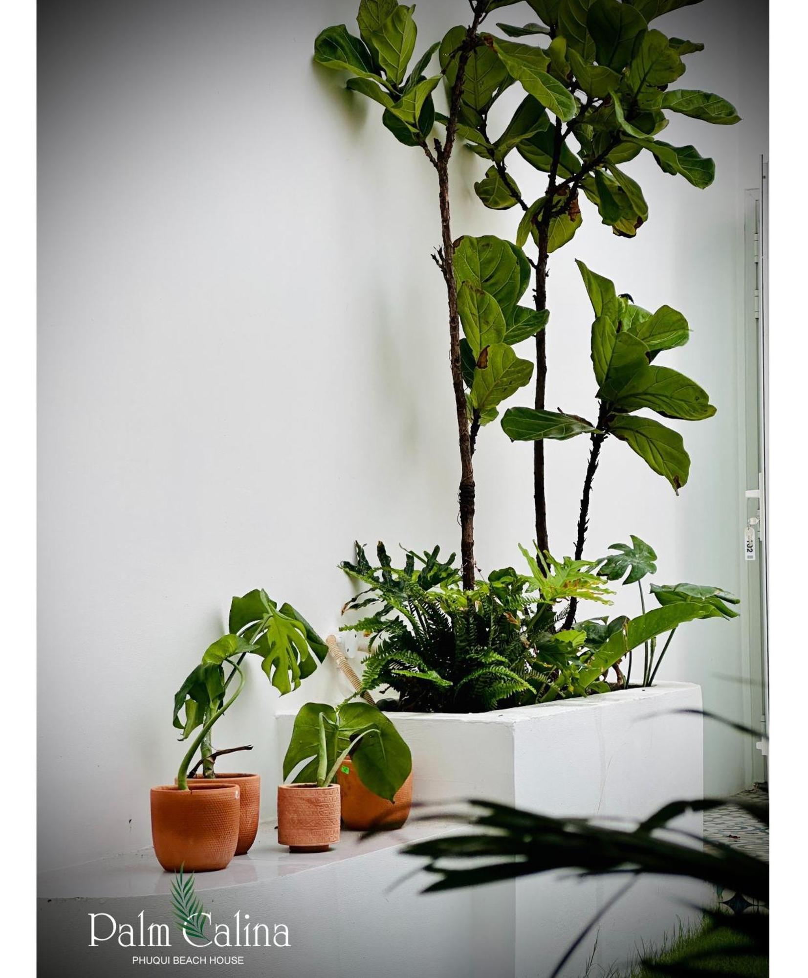 Palmcalina - Phuqui Beach House Cu Lao Thu Ngoại thất bức ảnh